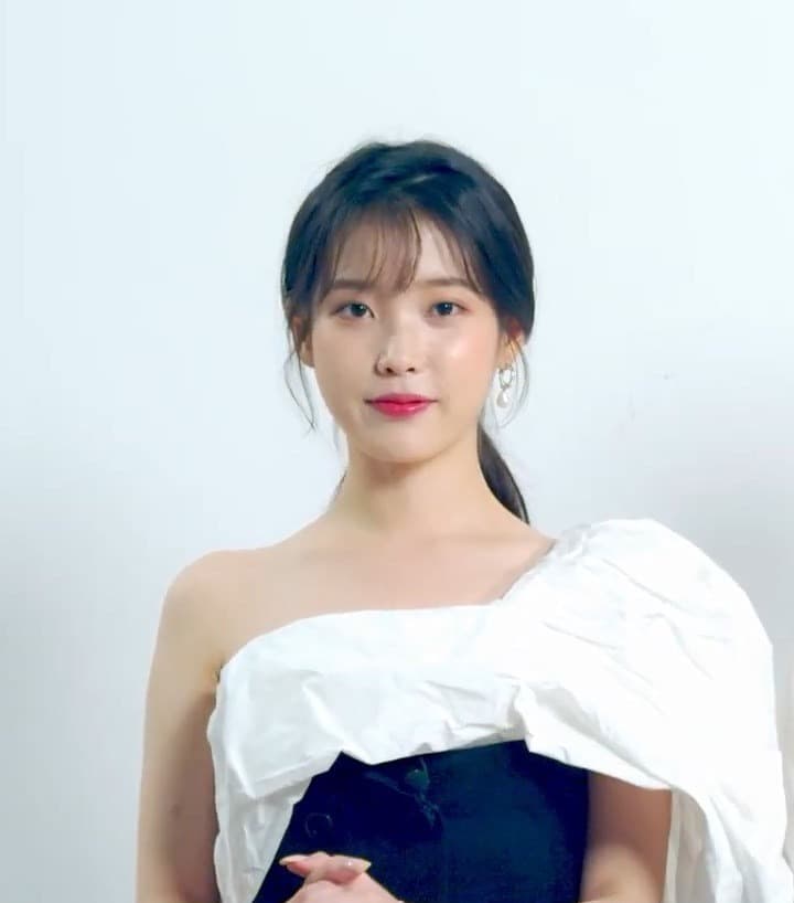 아이유 — 가수